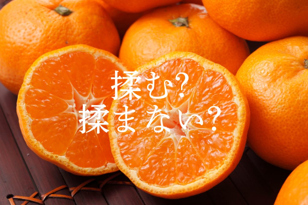 みかんの保管法