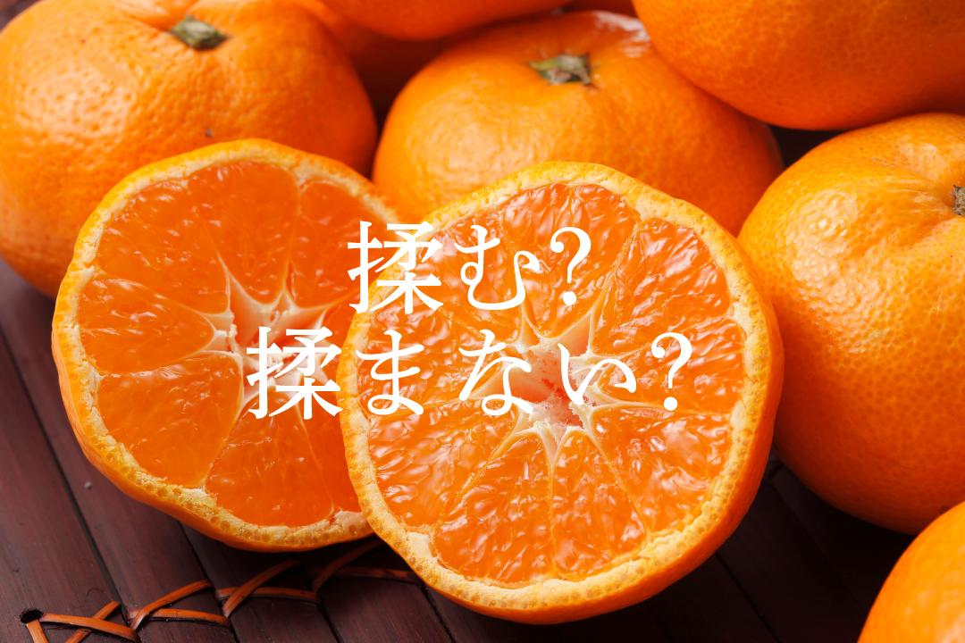 みかんの保管法