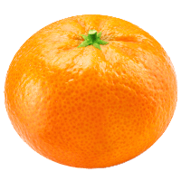 青島みかん