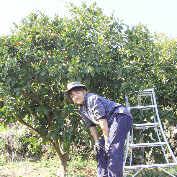 剪定作業