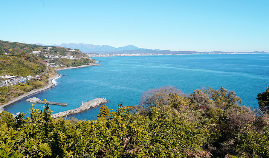 小田原市江の浦の景色