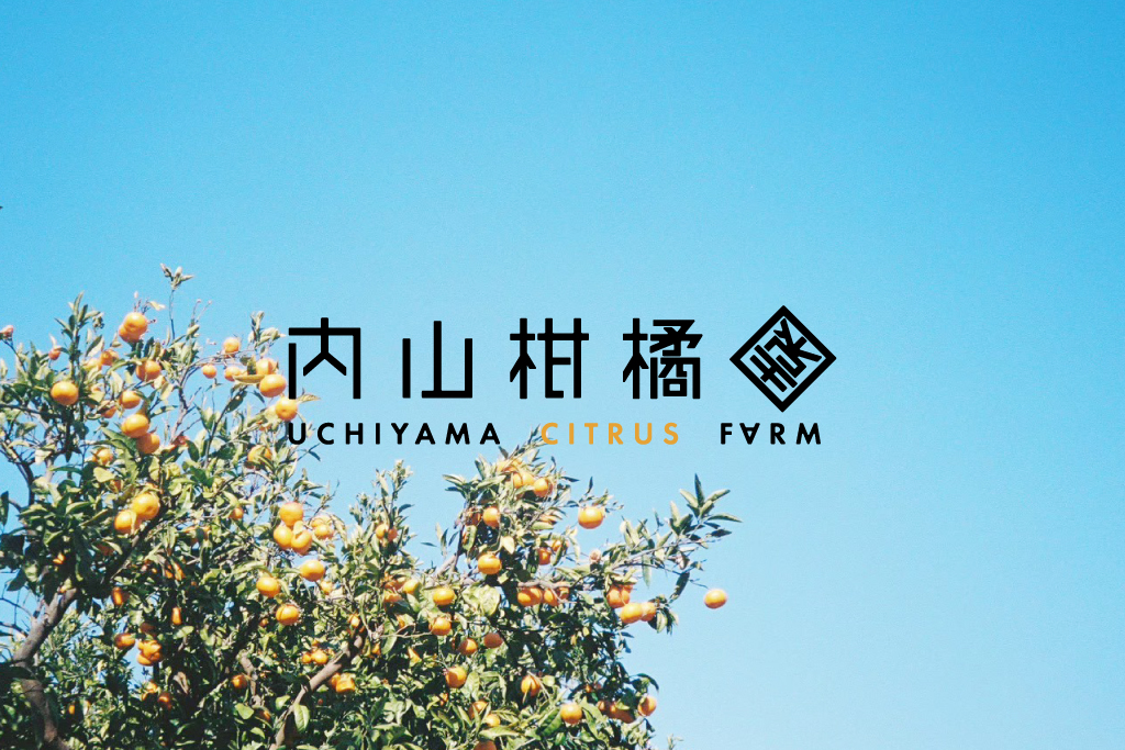 小田原で柑橘